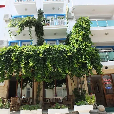 Hotel Ensar 3*